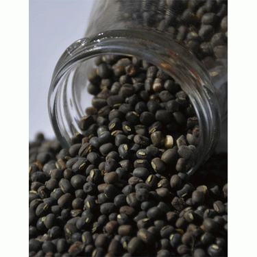 Urad Dal (Blackgram) 500gms